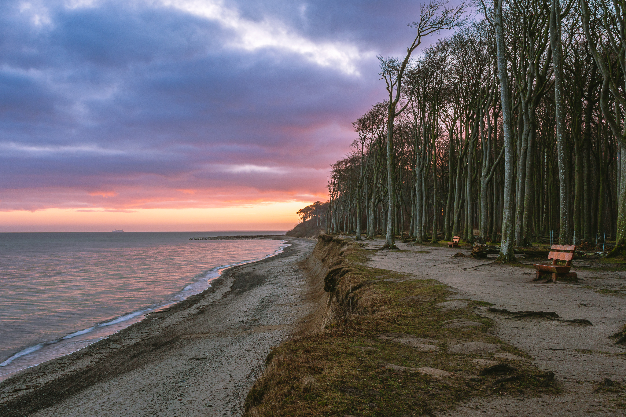 Gespensterwald in der Morgendämmerung