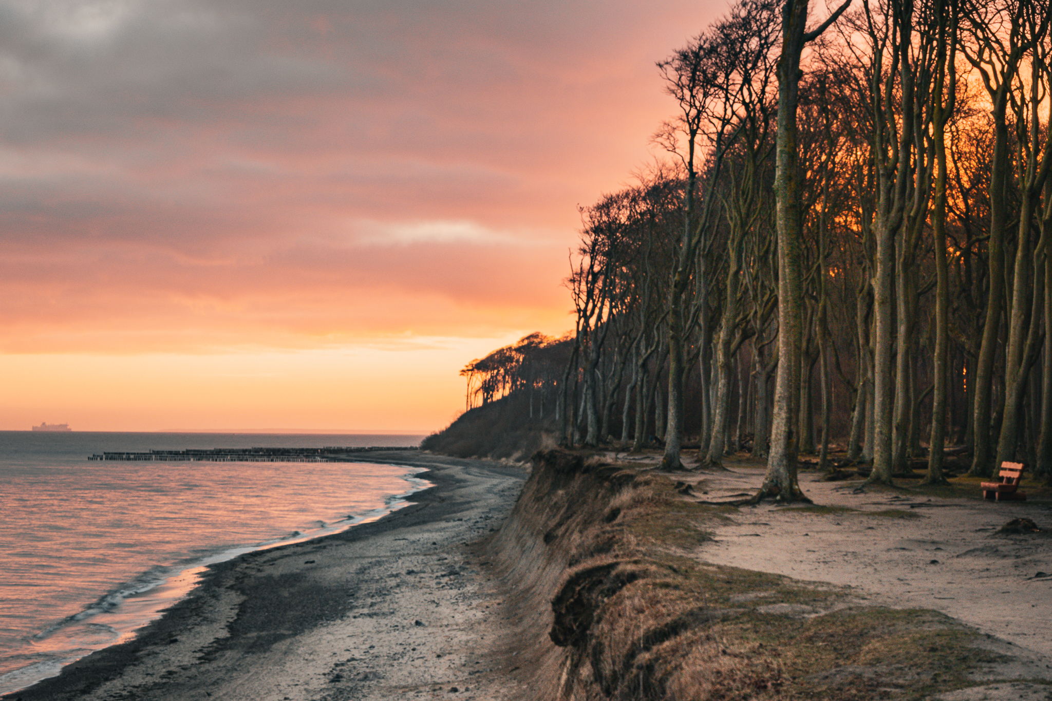 Gespensterwald in der Morgendämmerung